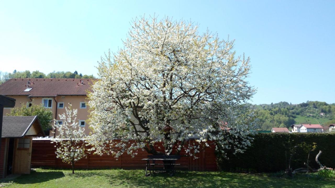 Apartma Golob Zgornja Kungota Екстериор снимка